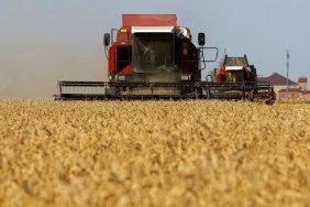 Slovakia considers extending ban on imports of Ukrainian agricultural products - Minister