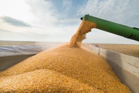 Poland plans to check all Ukrainian grain that transits its borders
