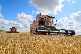 Жнива-2022: зібрали вже 17,5 млн. тон зерна
