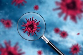 У Німеччині оголосили про завершення пандемії коронавірусу
