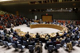 UN Security Council meeting on "LDPR": statements by representatives of countries