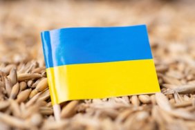 "Зерновий коридор": ВМС України готові до супроводу суден
