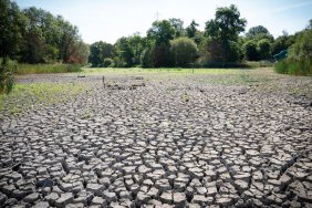 Drought declared in England due to hot weather