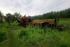 Внаслідок війни пошкоджено майже третину лісів України – Мінсередовища