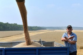 Slovakia suspends the import of Ukrainian grain