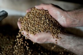 The EU is preparing emergency restrictions on the import of grain from Ukraine, - FT