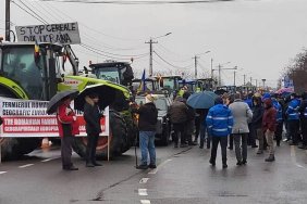 Румунські фермери відкрили ще один пункт пропуску з Україною