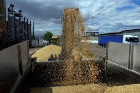 Україна може обміняти 96 млрд євро субсидій ЄС на пом'якшення екологічних норм, - Reuters