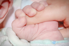 Zelensky signed a law on biological paternity for the military in case of their death