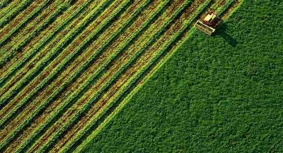 Ринок землі: українці продали близько 5 тис. земельних ділянок
