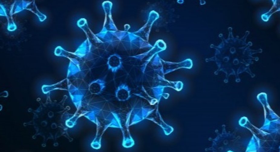 The number of COVID-19 infections in the world exceeded 106.4 million, the number of victims - 2.3 million
