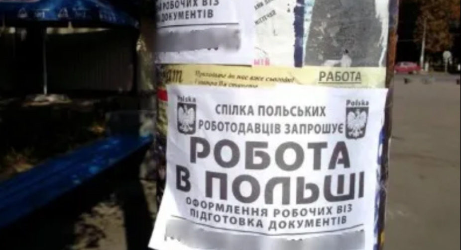 Близько половини українців відвідують Польщу в пошуках роботи