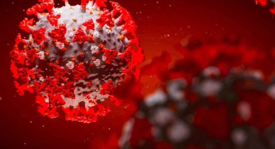 WHO experts assess the likelihood of laboratory origin of coronavirus