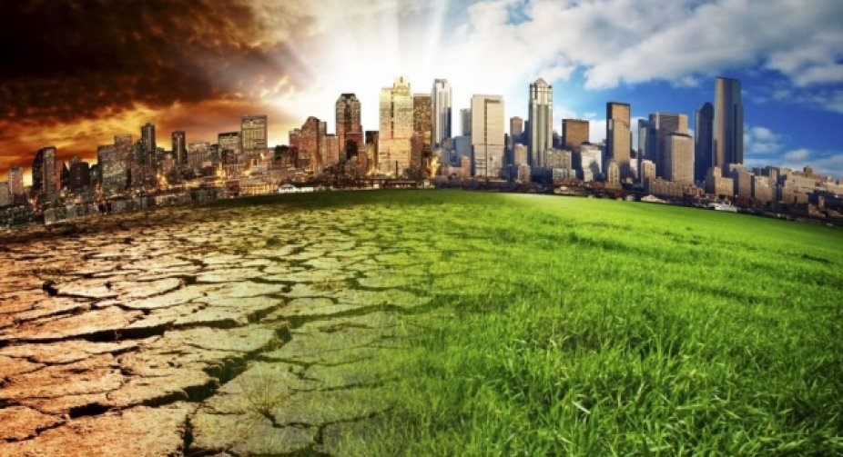 The government told about the tasks for the climate summit in Glasgow