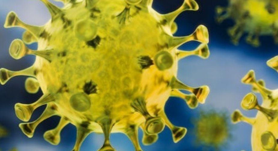 12 people died of coronavirus in 24 hours in Georgia