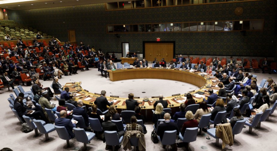 UN Security Council meeting on "LDPR": statements by representatives of countries