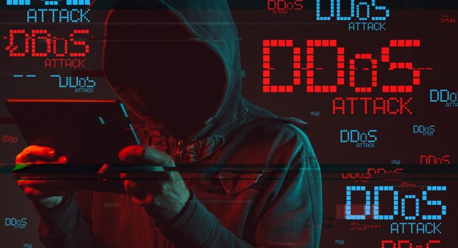 Playing an online game - blocking enemy websites: Lviv programmers created a DDOS game