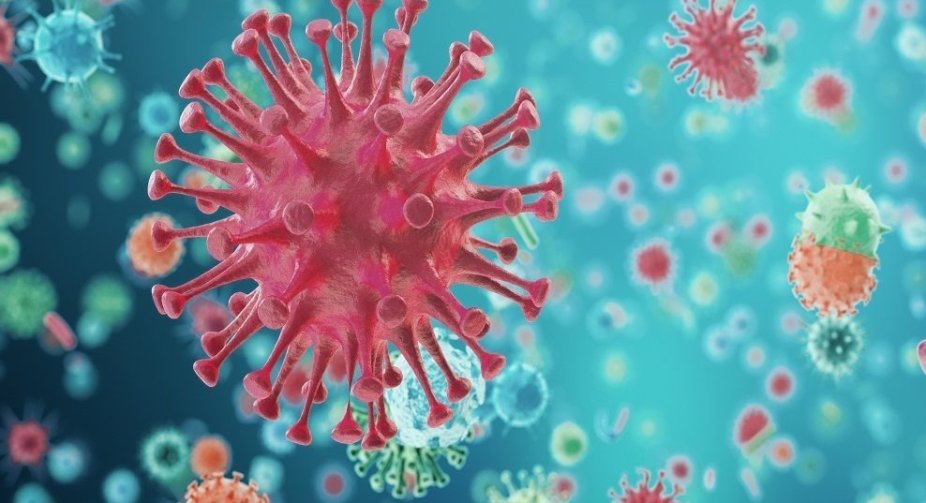 In Ukraine, 4,285 new cases of COVID-19 infection per day
