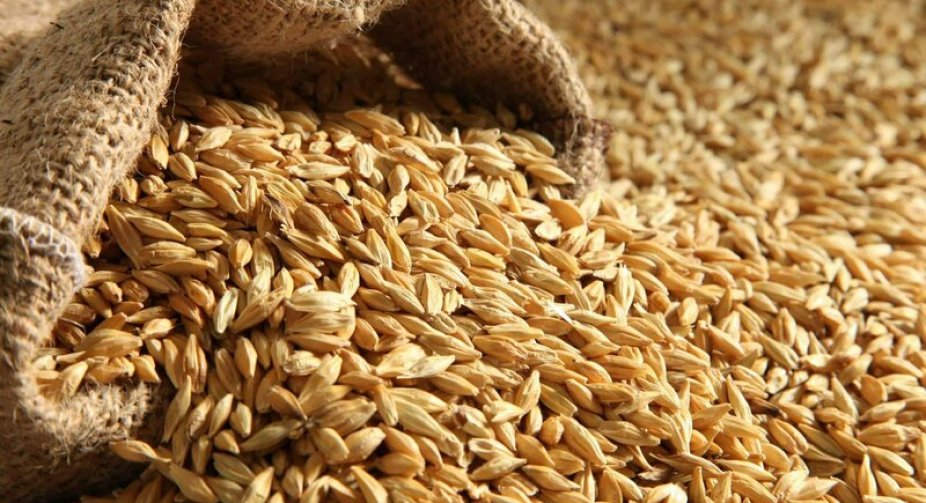 Ukraine has basic food reserves for several years