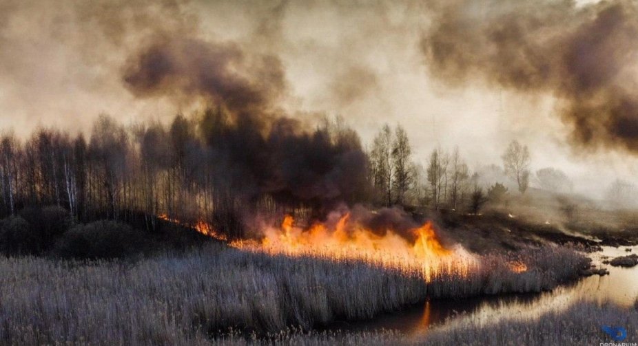 Відбулася лісова пожежа неподалік Чорнобильської зони  