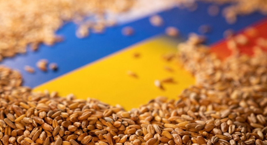 Туреччина візьме участь у вивезенні зерна з України