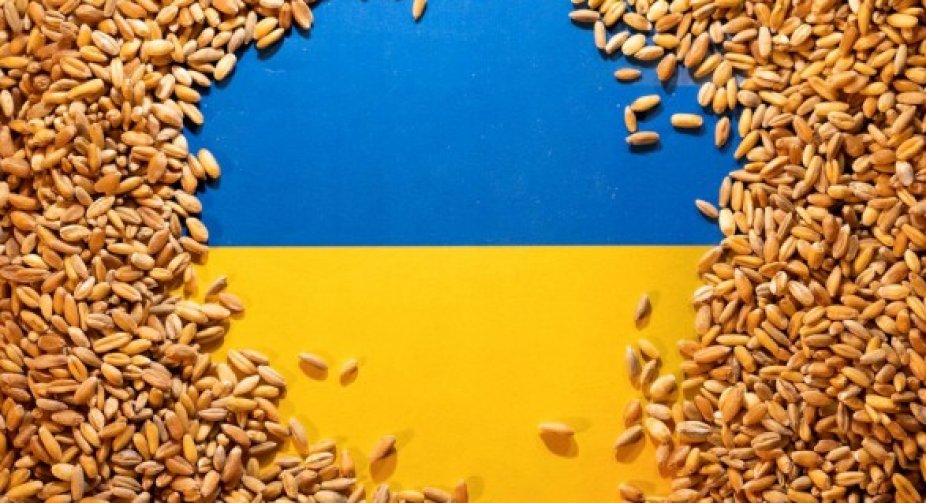 Ukraine has a plan "B" if it fails to unblock the seaports - Ministry of Agrarian Policy