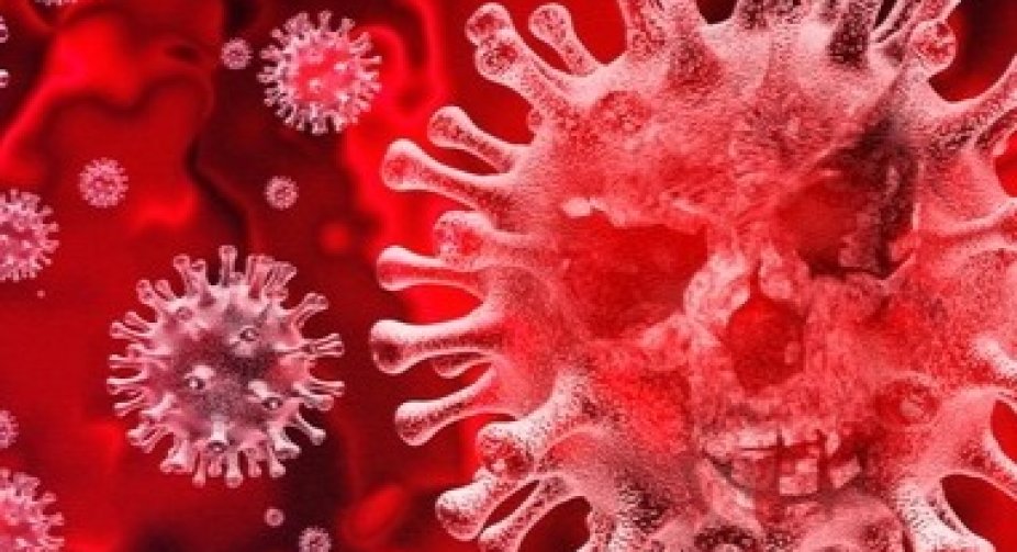 Out of 422 new cases of coronavirus, 216 were detected in Tbilisi