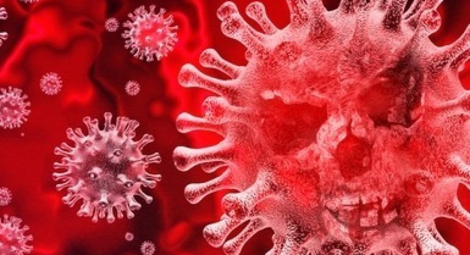 528 new cases of coronavirus were detected in Georgia, 299 people recovered