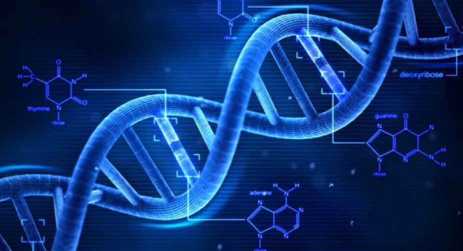 Франція передала Україні мобільну лабораторію для експрес-аналізу ДНК