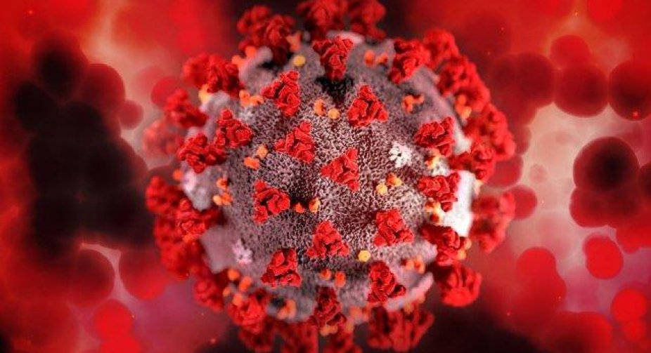 Covid in Ukraine went up: the number of infections increased by a third in a week