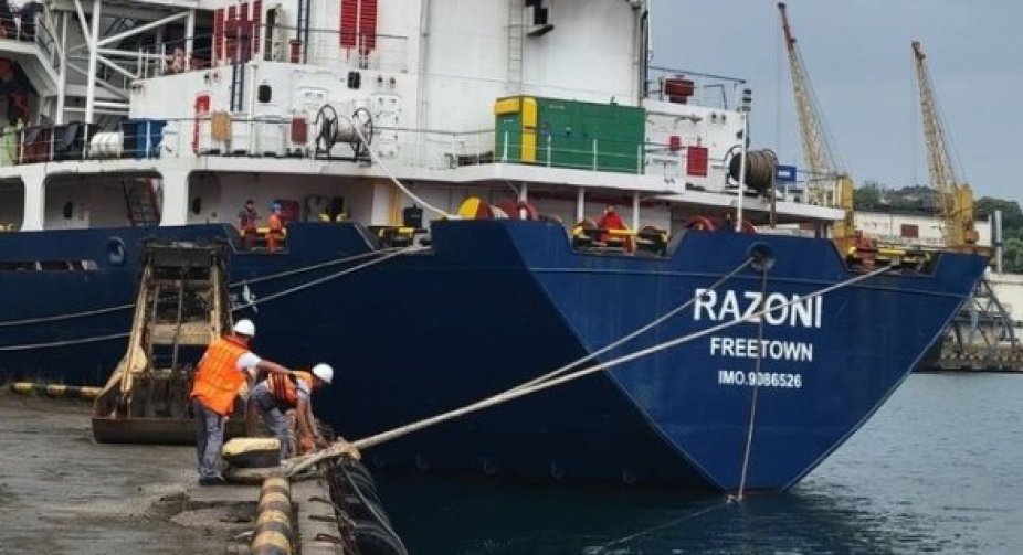 Turkey expects first ship with Ukrainian grain in Istanbul this night