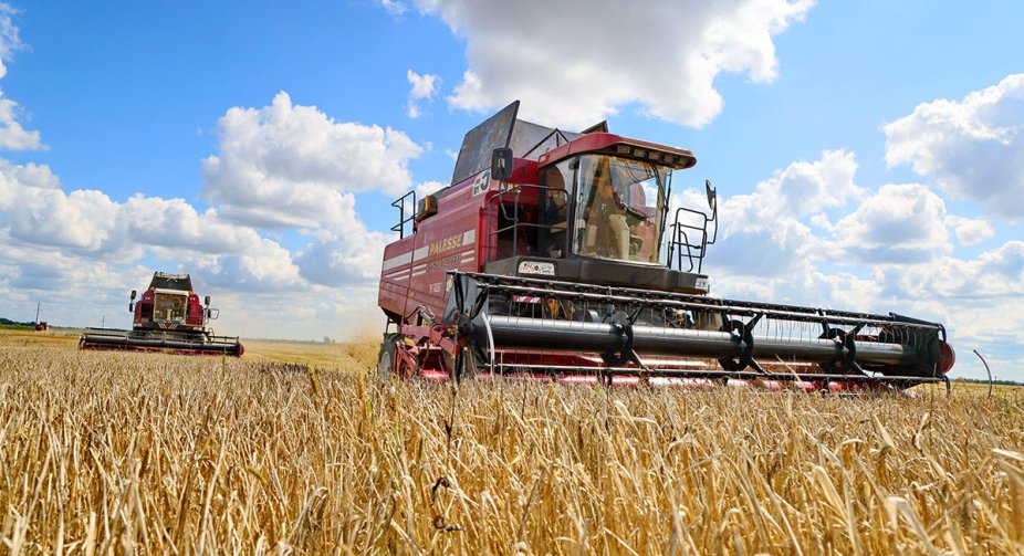 Harvest 2022: already harvested 17.5 million tons of grain