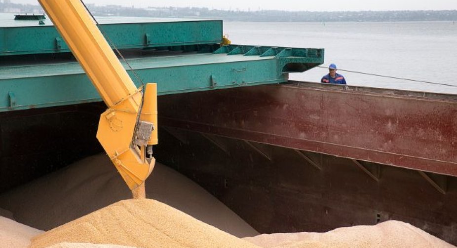 Ship with Ukrainian grain could not leave the Black Sea port - Turkish Ministry of Defense