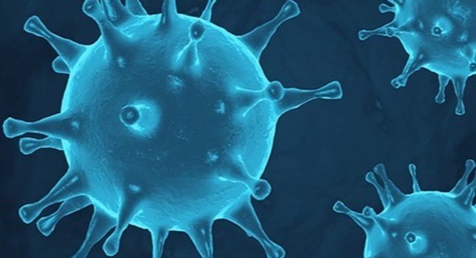In Ukraine, 8 346 new cases of Covid-19 infection were recorded per day
