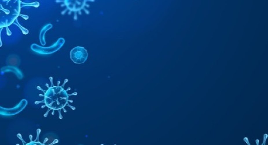 A new strain of coronavirus discovered in the Czech Republic