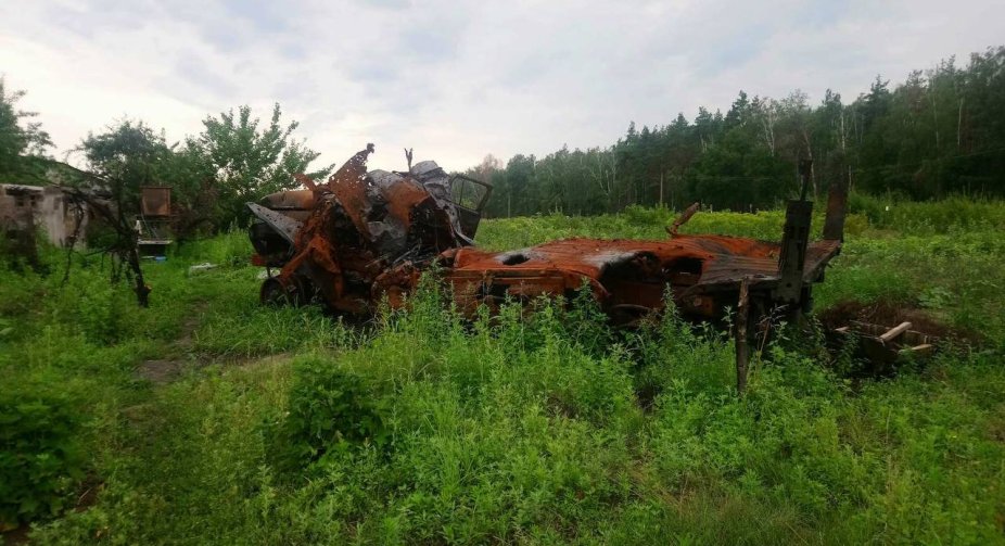 As a result of the war, almost a third of Ukraine's forests were damaged - Ministry of Environment