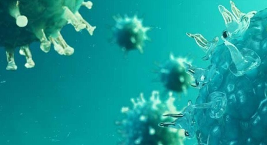 The number of COVID-19 infections in the world exceeded 130.7 million, the number of victims - 2.84 million