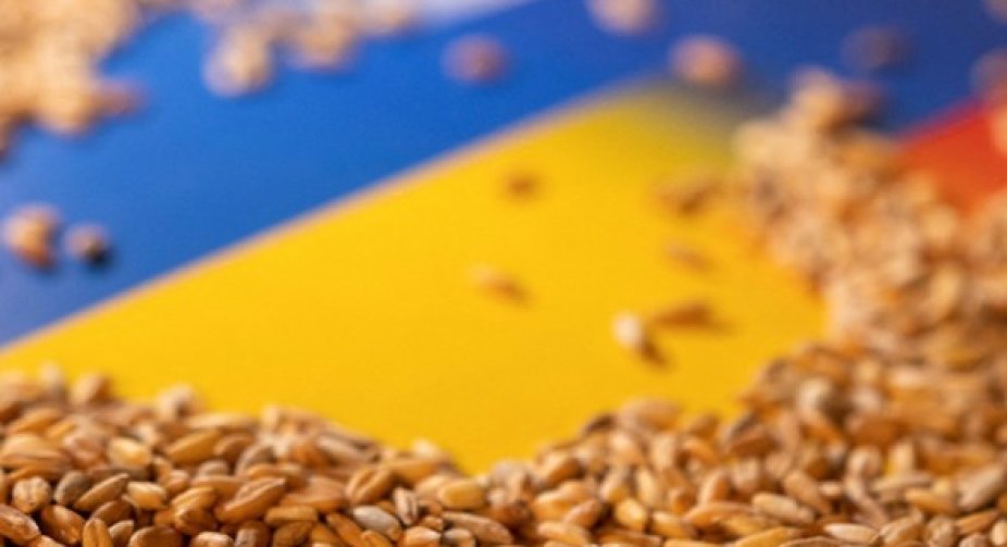 Ukraine spoke about the geography of exports through the "grain corridor": Africa accounts for 27% of wheat