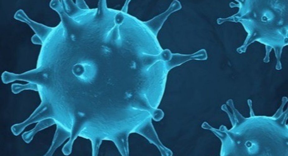 The number of COVID-19 infections in the world exceeded 133 million, the number of victims - 2.88 million