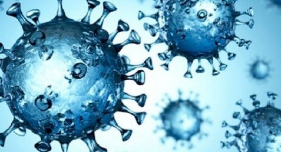 Число заражень COVID-19 у світі перевищило 135 млн, число жертв - 2,9 млн