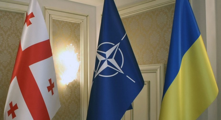 Країни НАТО підтримують вступ до Альянсу Грузії та України