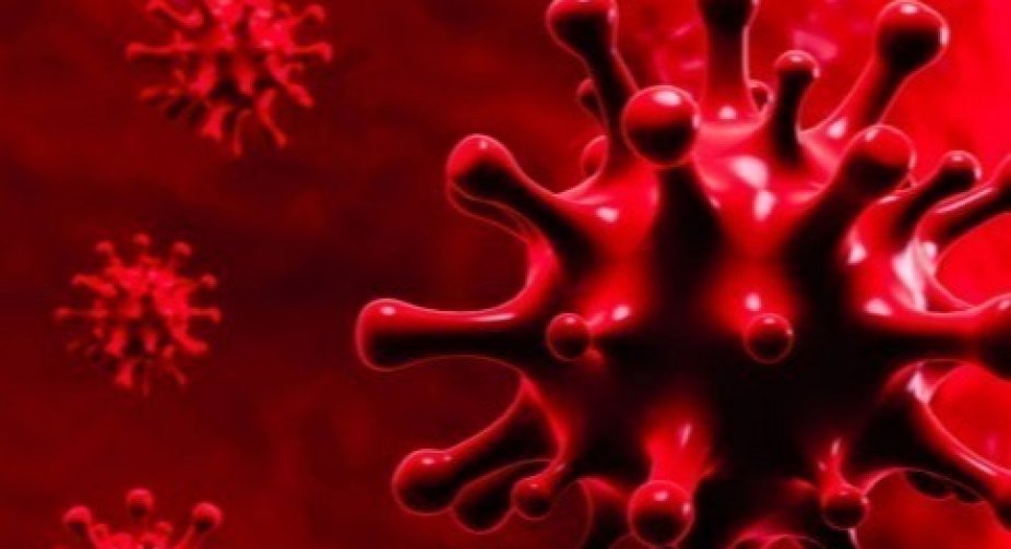 14 553 new cases of coronavirus detected in Ukraine
