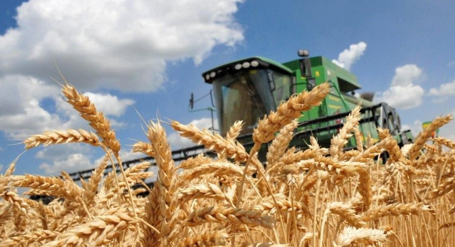 Ukrainian farmers in 2022 provided the country with more than $20 billion in foreign exchange revenue - Minister Solskyi
