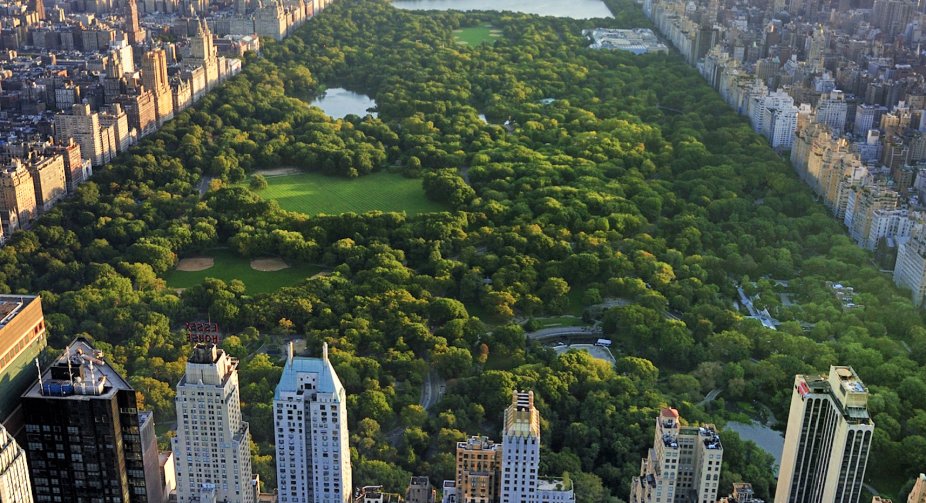 The peace summit can be held in New York on the anniversary of the full-scale invasion of the Russian Federation - the ambassador