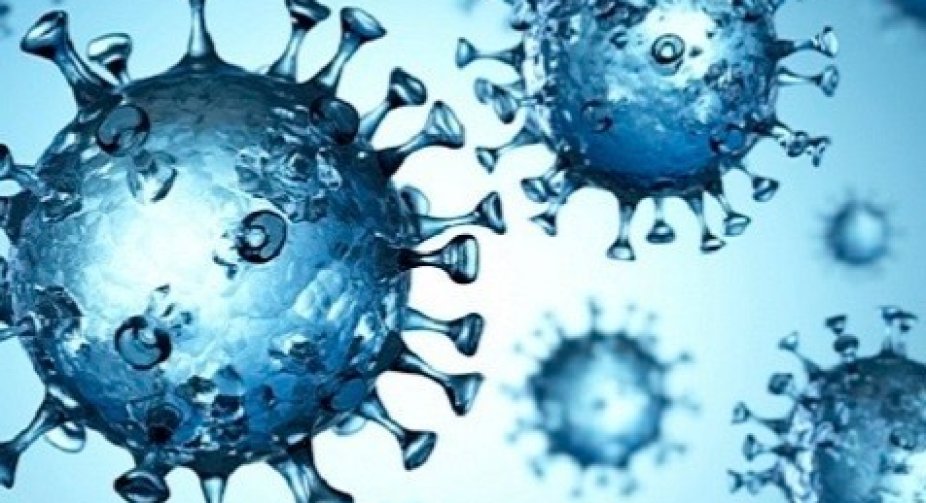 Out of 1,219 new cases of coronavirus, 676 were detected in Tbilisi, 126 in Adjara, 123 in Samegrelo-Zemo-Svaneti