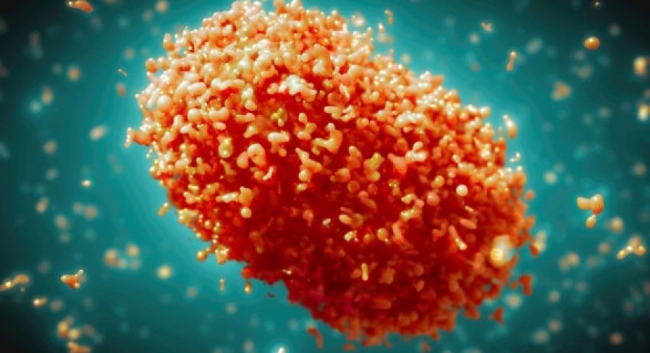 Monkey pox remains a global emergency - WHO
