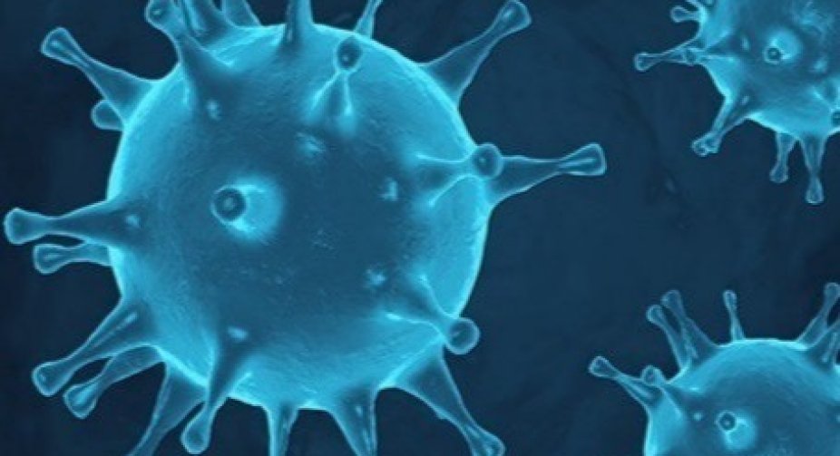 In Ukraine, 14,277 new cases of Covid-19 infection were recorded per day