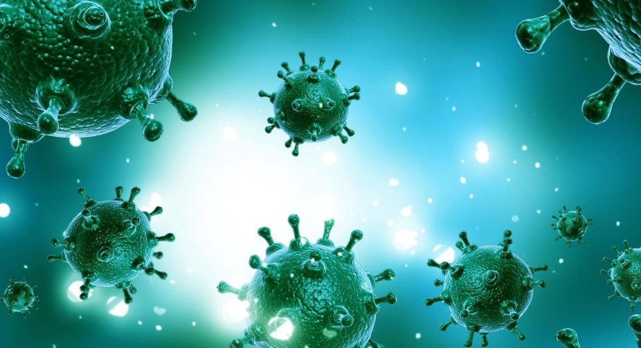 521 new cases of coronavirus have been detected in Georgia