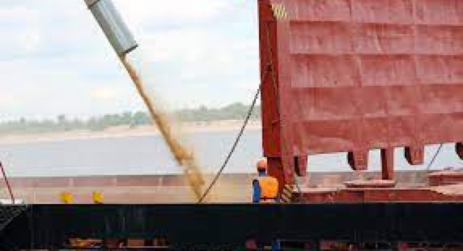Toxic harvest.  Large grain trader Louis Dreyfus stops exporting Russian grain