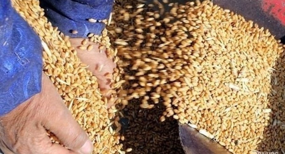 Romania's ruling party is asking the government to suspend grain imports from Ukraine
